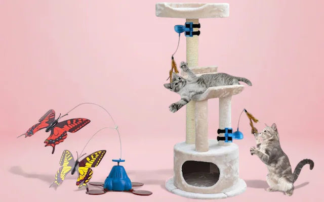 Cat accessories